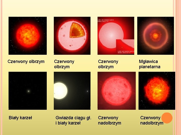Czerwony olbrzym Biały karzeł Czerwony olbrzym Gwiazda ciągu gł. i biały karzeł Czerwony olbrzym