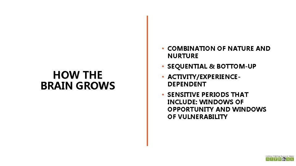  • COMBINATION OF NATURE AND NURTURE HOW THE BRAIN GROWS • SEQUENTIAL &