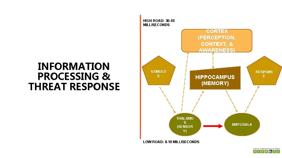 HIGH ROAD: 30 -40 MILLISECONDS CORTEX (PERCEPTION, CONTEXT, & AWARENESS) INFORMATION PROCESSING & THREAT