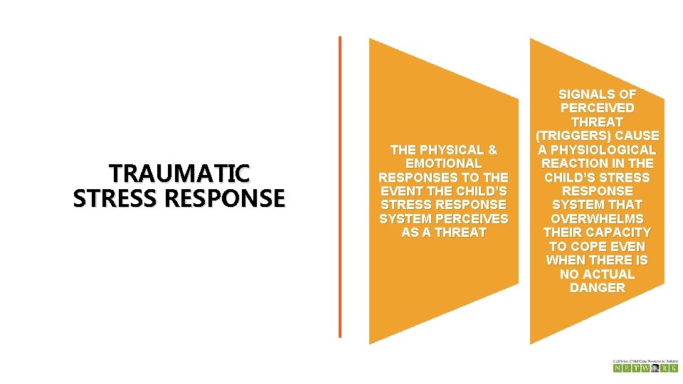 TRAUMATIC STRESS RESPONSE THE PHYSICAL & EMOTIONAL RESPONSES TO THE EVENT THE CHILD’S STRESS