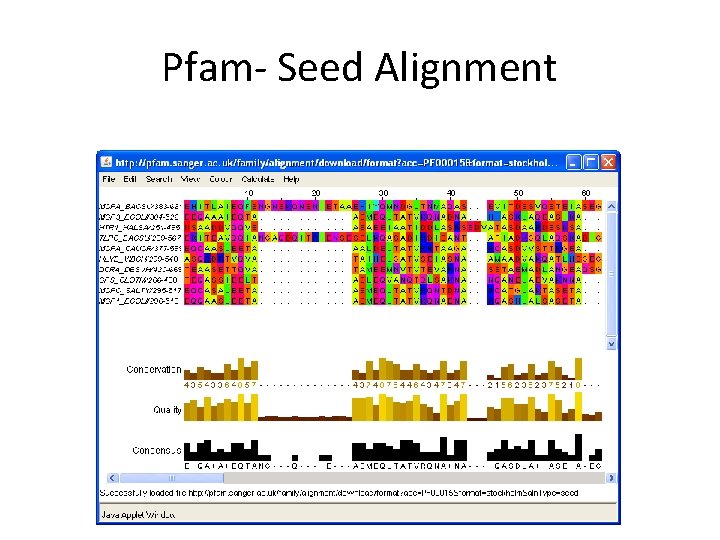Pfam- Seed Alignment 