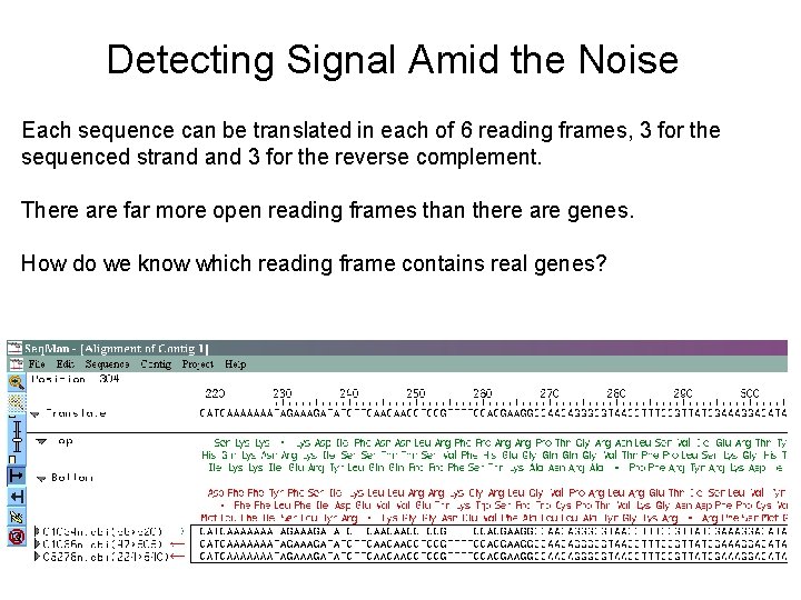 Detecting Signal Amid the Noise Each sequence can be translated in each of 6