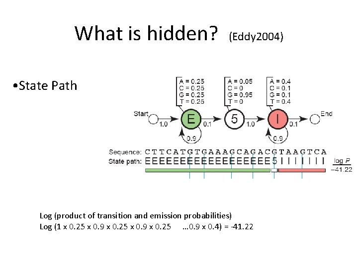 What is hidden? (Eddy 2004) • State Path Log (product of transition and emission