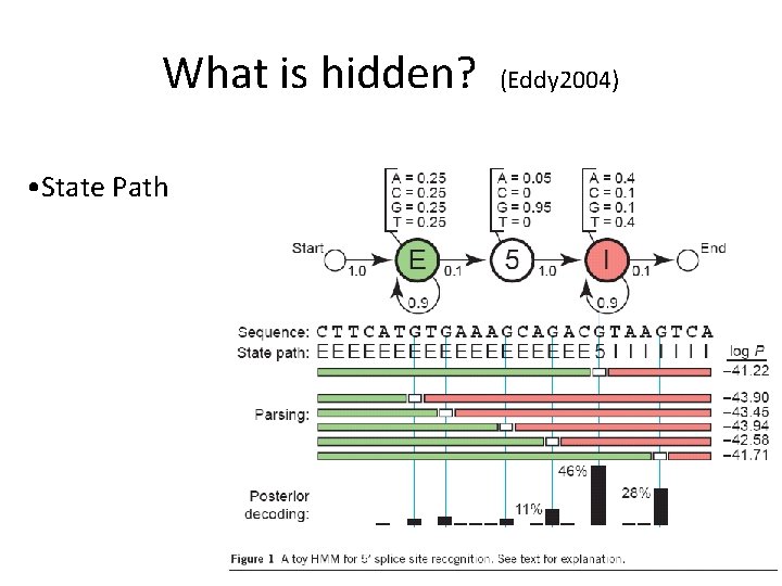 What is hidden? • State Path (Eddy 2004) 