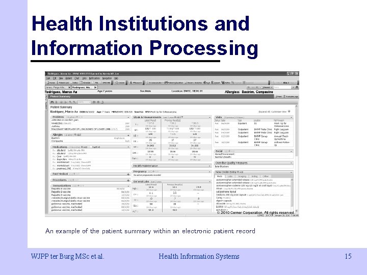 Health Institutions and Information Processing An example of the patient summary within an electronic Health Institutions and Information Processing An example of the patient summary within an electronic