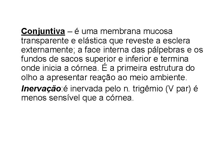 Conjuntiva – é uma membrana mucosa transparente e elástica que reveste a esclera externamente;