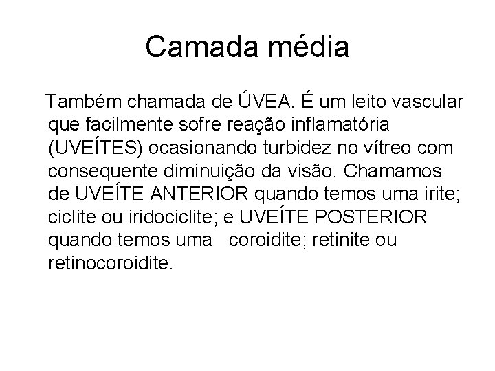 Camada média Também chamada de ÚVEA. É um leito vascular que facilmente sofre reação