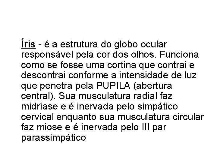 Íris - é a estrutura do globo ocular responsável pela cor dos olhos. Funciona