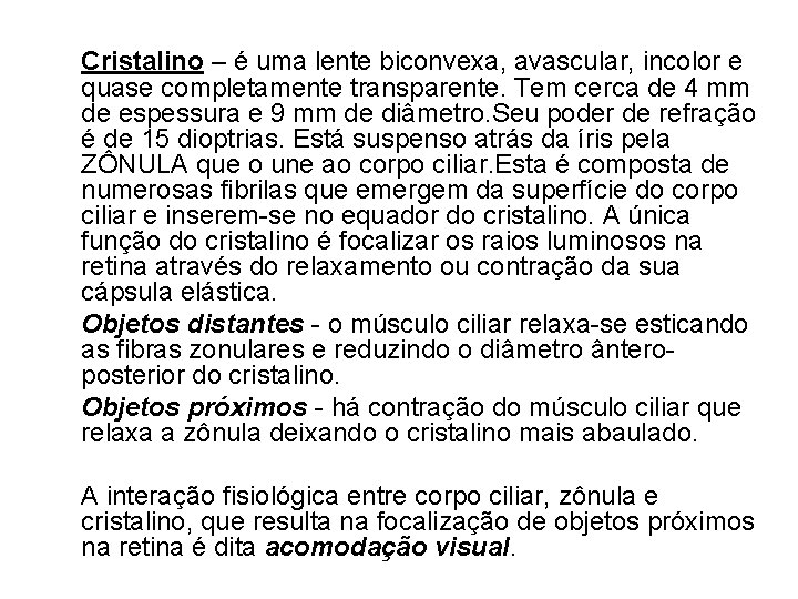 Cristalino – é uma lente biconvexa, avascular, incolor e quase completamente transparente. Tem cerca