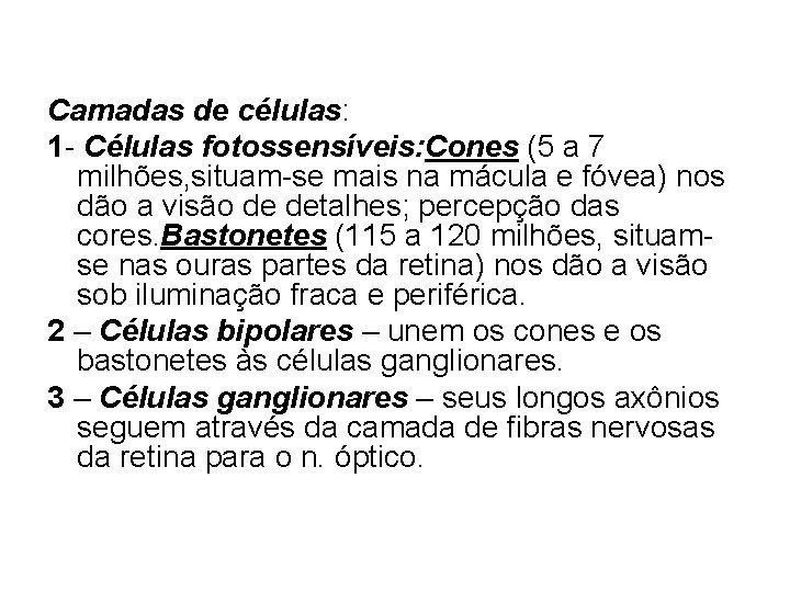 Camadas de células: 1 - Células fotossensíveis: Cones (5 a 7 milhões, situam-se mais