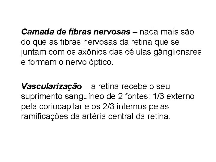 Camada de fibras nervosas – nada mais são do que as fibras nervosas da