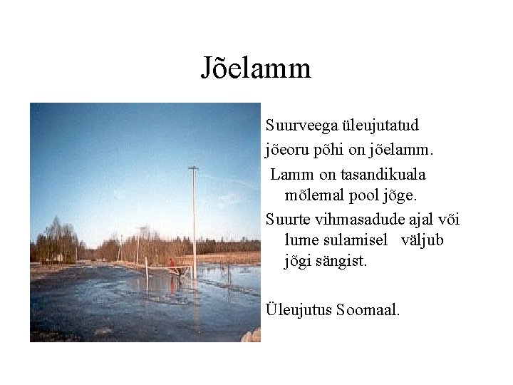 Jõelamm Suurveega üleujutatud jõeoru põhi on jõelamm. Lamm on tasandikuala mõlemal pool jõge. Suurte