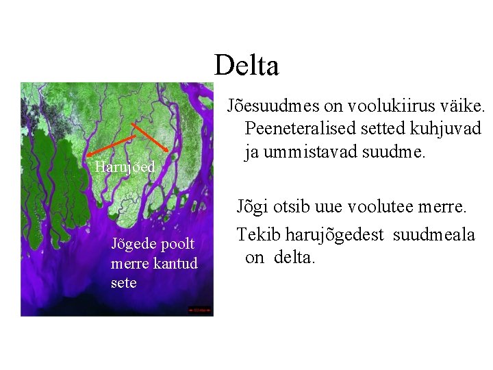 Delta Harujõed Jõgede poolt merre kantud sete Jõesuudmes on voolukiirus väike. Peeneteralised setted kuhjuvad