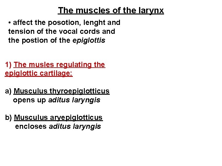 The muscles of the larynx • affect the posotion, lenght and tension of the
