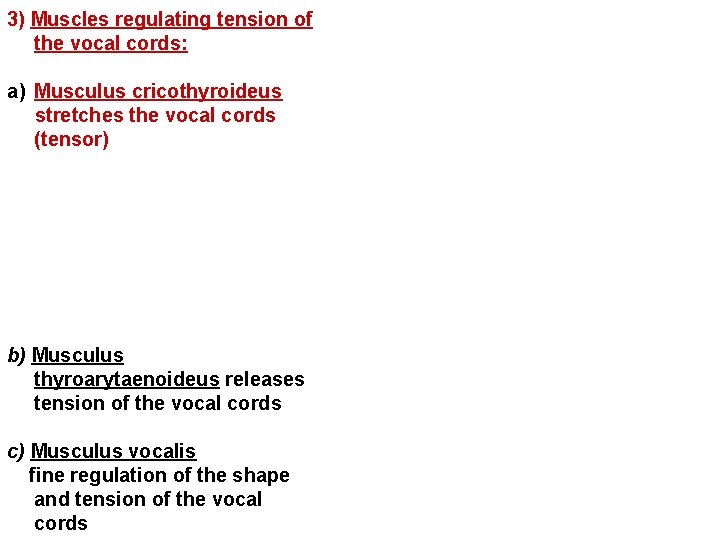 3) Muscles regulating tension of the vocal cords: a) Musculus cricothyroideus stretches the vocal
