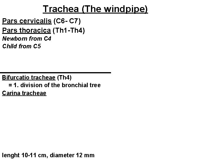 Trachea (The windpipe) Pars cervicalis (C 6 - C 7) Pars thoracica (Th 1