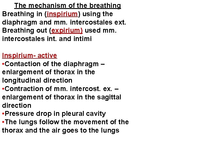The mechanism of the breathing Breathing in (inspirium) using the diaphragm and mm. intercostales