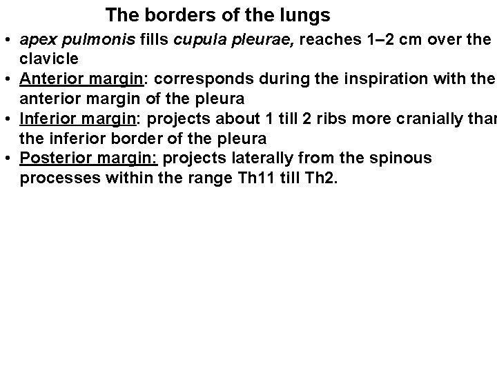 The borders of the lungs • apex pulmonis fills cupula pleurae, reaches 1– 2