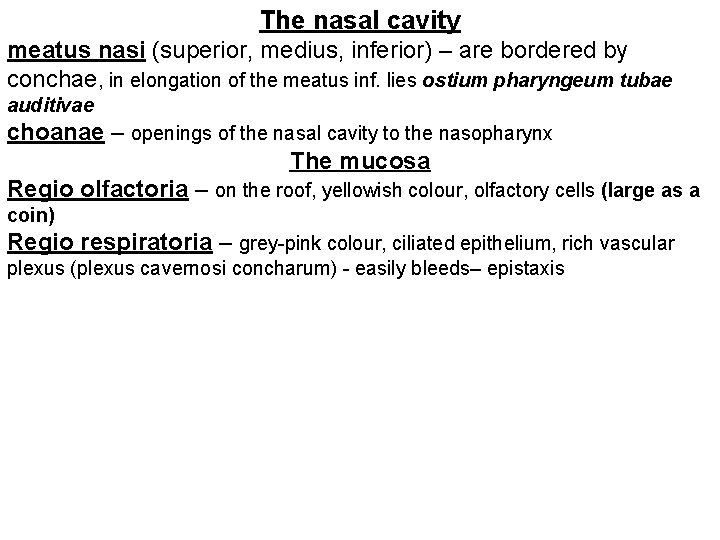 The nasal cavity meatus nasi (superior, medius, inferior) – are bordered by conchae, in