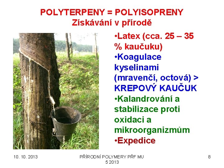 POLYTERPENY = POLYISOPRENY Získávání v přírodě • Latex (cca. 25 – 35 % kaučuku)