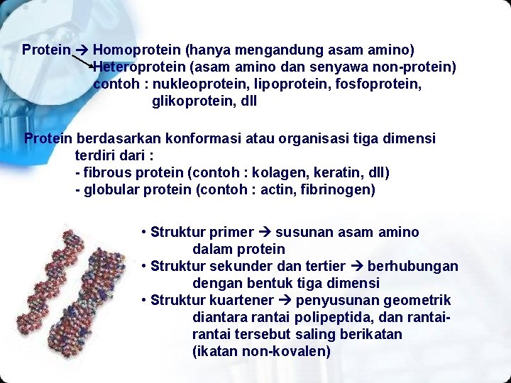 Protein Homoprotein (hanya mengandung asam amino) Heteroprotein (asam amino dan senyawa non-protein) contoh :