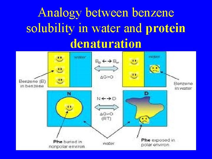 Analogy between benzene solubility in water and protein denaturation 