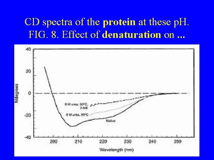 CD spectra of the protein at these p. H. FIG. 8. Effect of denaturation