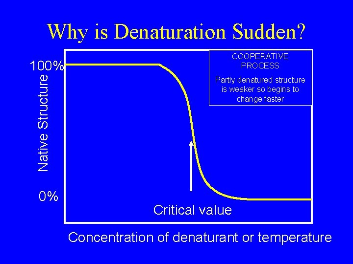 Why is Denaturation Sudden? Native Structure 100% 0% COOPERATIVE PROCESS Partly denatured structure is