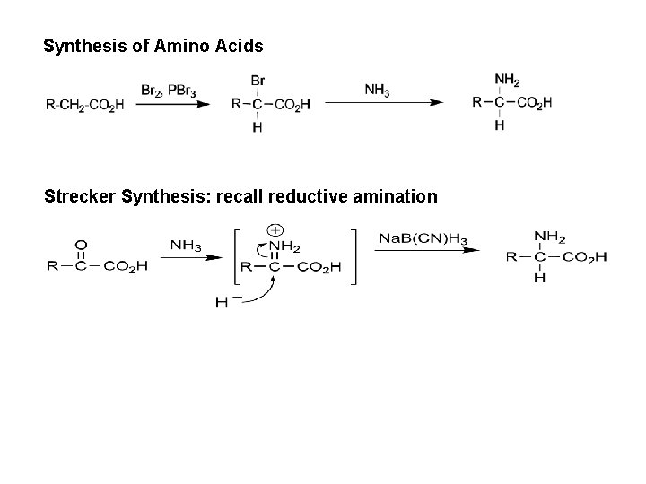 Synthesis of Amino Acids Strecker Synthesis: recall reductive amination 