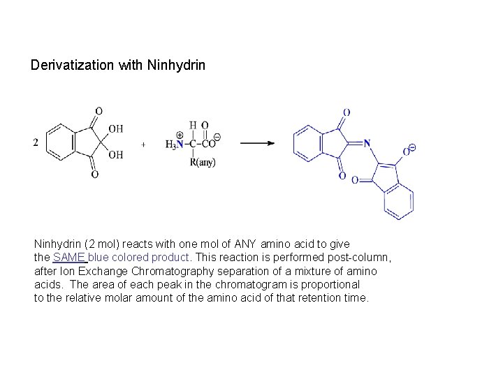 Derivatization with Ninhydrin (2 mol) reacts with one mol of ANY amino acid to
