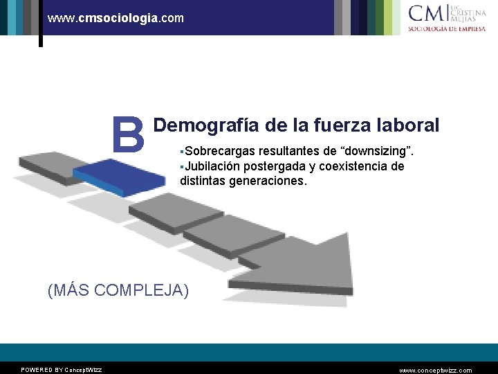 www. cmsociologia. com B Demografía de la fuerza laboral §Sobrecargas resultantes de “downsizing”. §Jubilación