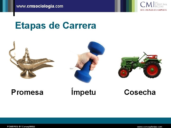 www. cmsociologia. com Etapas de Carrera Promesa POWERED BY Concept. Wizz Ímpetu Cosecha www.
