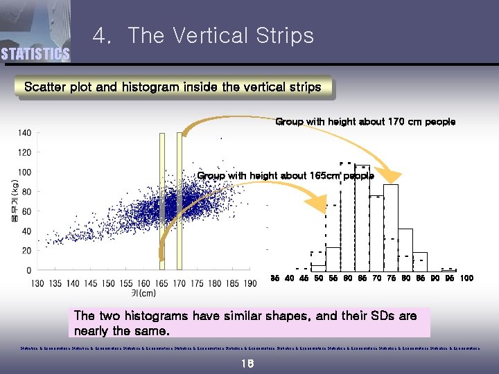 STATISTICS 4. The Vertical Strips Scatter plot and histogram inside the vertical strips Group