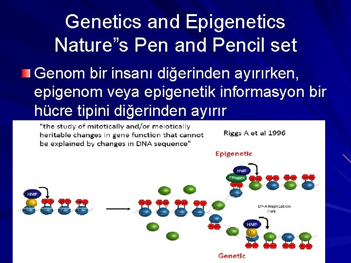 Genetics and Epigenetics Nature”s Pen and Pencil set Genom bir insanı diğerinden ayırırken, epigenom