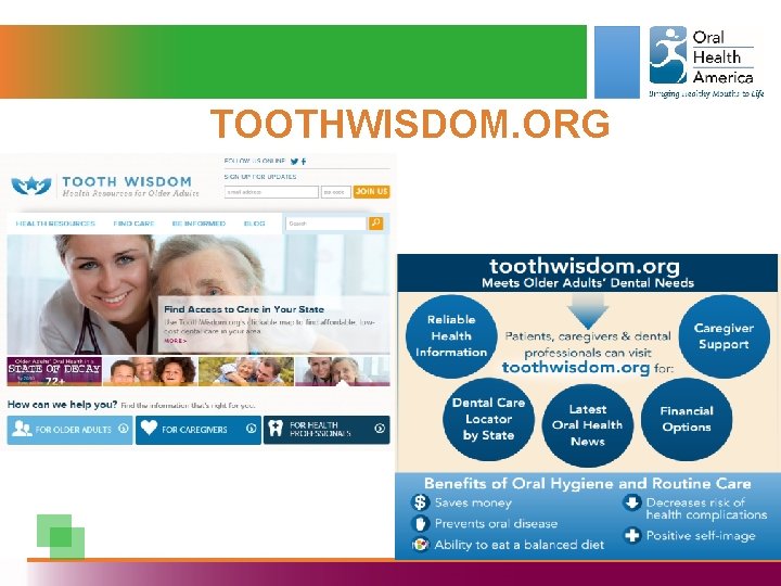 TOOTHWISDOM. ORG 