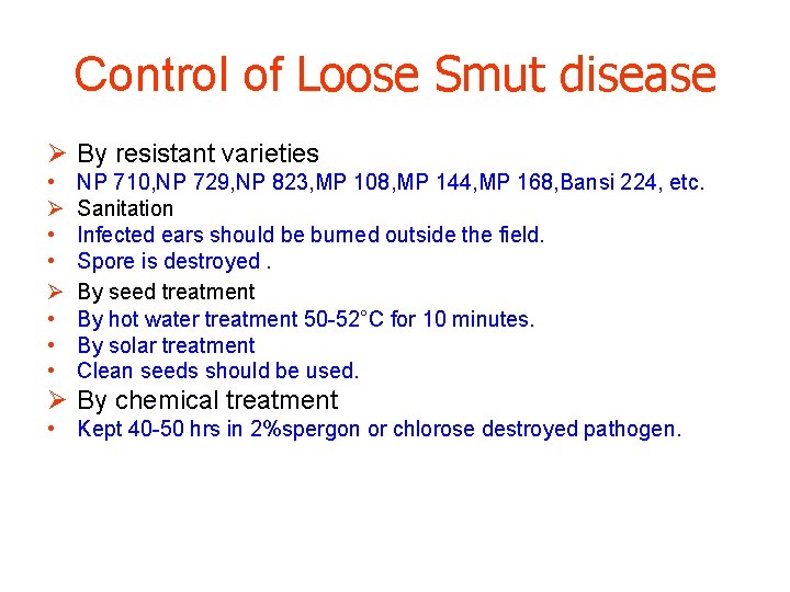 Control of Loose Smut disease Ø By resistant varieties • Ø • • •