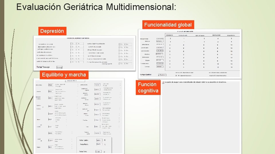 Evaluación Geriátrica Multidimensional: Funcionalidad global Depresión Equilibrio y marcha Función cognitiva 