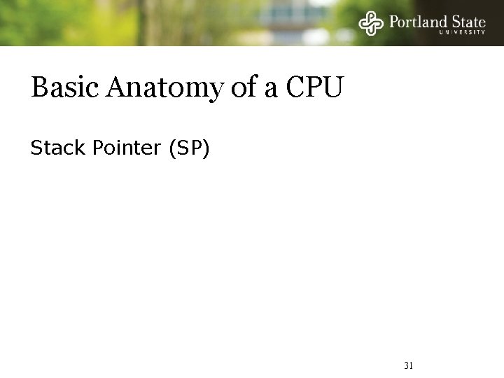 Basic Anatomy of a CPU Stack Pointer (SP) 31 