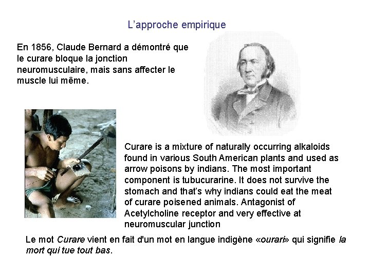 L’approche empirique En 1856, Claude Bernard a démontré que le curare bloque la jonction