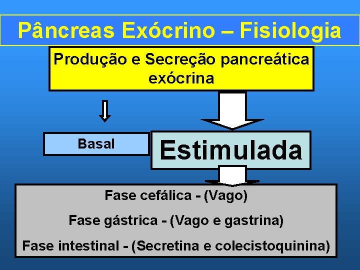 Pâncreas Exócrino – Fisiologia Produção e Secreção pancreática exócrina Basal Estimulada Fase cefálica -