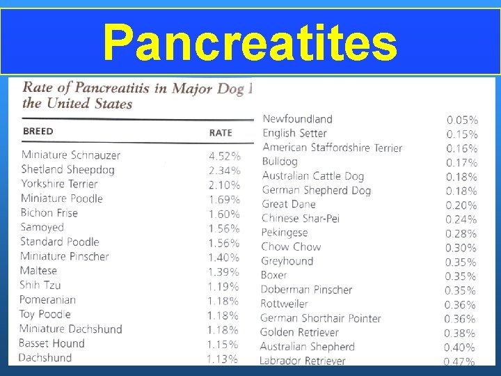 Pancreatites 