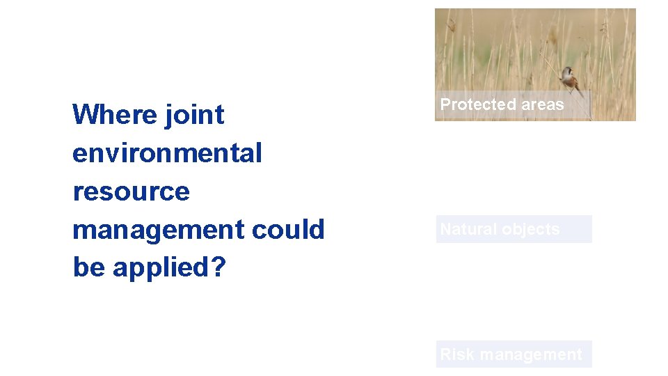 Where joint environmental resource management could be applied? Protected areas Natural objects Risk management