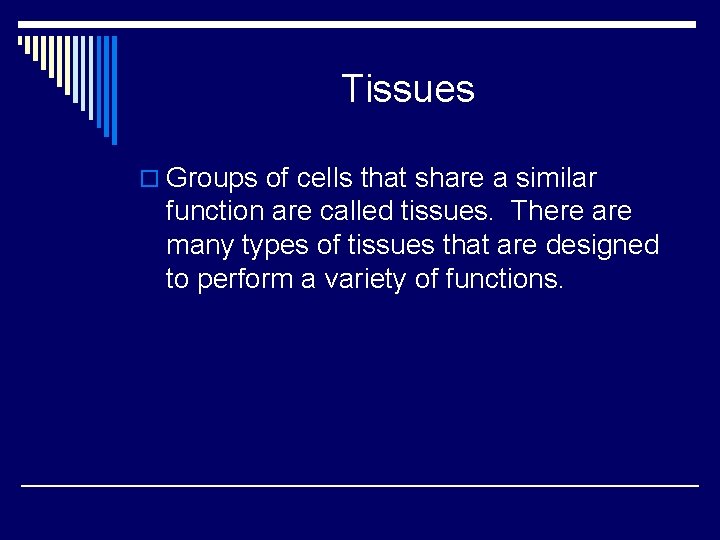 Tissues o Groups of cells that share a similar function are called tissues. There