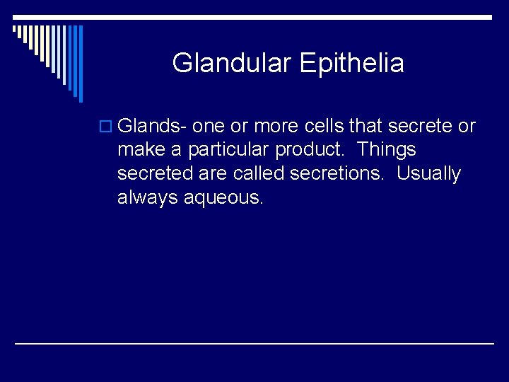 Glandular Epithelia o Glands- one or more cells that secrete or make a particular