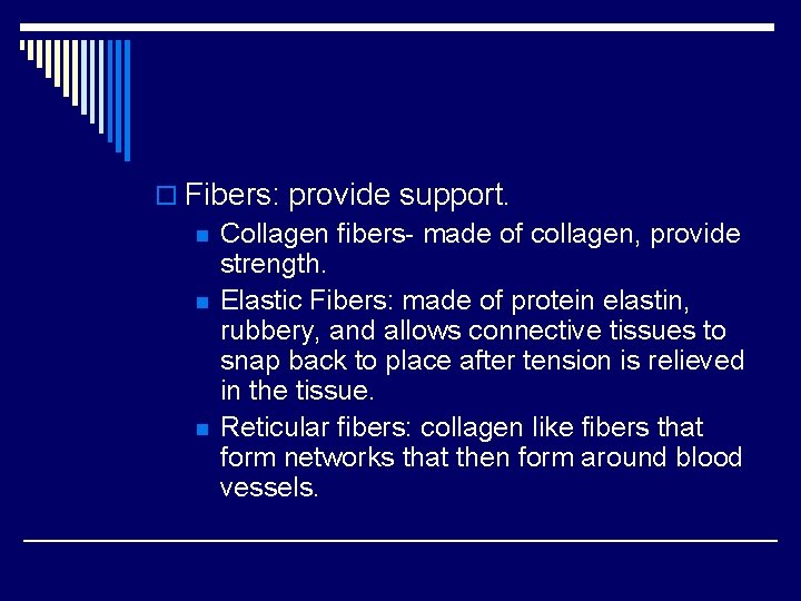 o Fibers: provide support. n Collagen fibers- made of collagen, provide strength. n Elastic