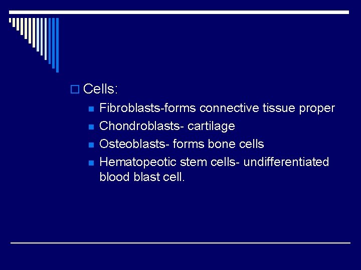 o Cells: n n Fibroblasts-forms connective tissue proper Chondroblasts- cartilage Osteoblasts- forms bone cells