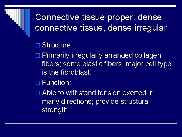 Connective tissue proper: dense connective tissue, dense irregular o Structure: o Primarily irregularly arranged