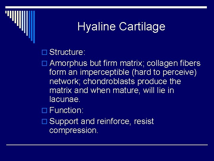 Hyaline Cartilage o Structure: o Amorphus but firm matrix; collagen fibers form an imperceptible