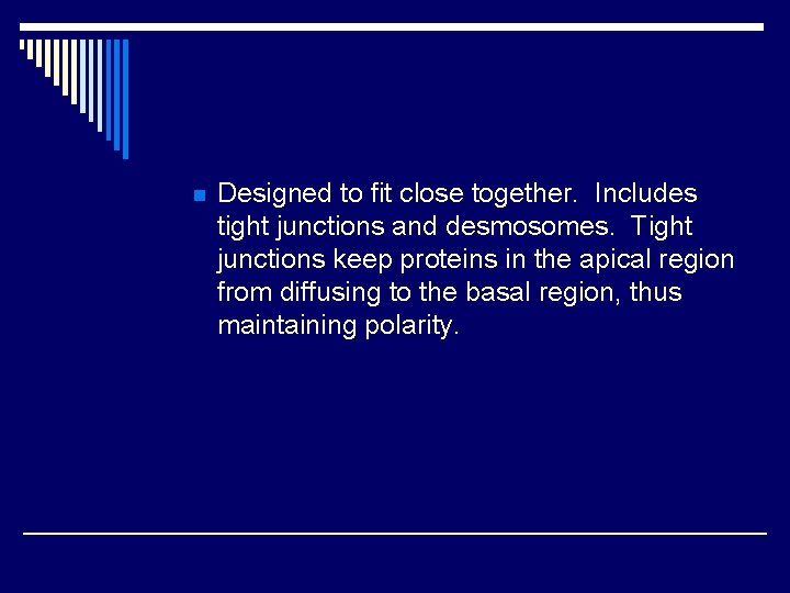 n Designed to fit close together. Includes tight junctions and desmosomes. Tight junctions keep