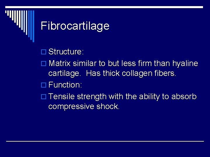 Fibrocartilage o Structure: o Matrix similar to but less firm than hyaline cartilage. Has